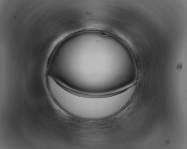 X0000102261471200808081349