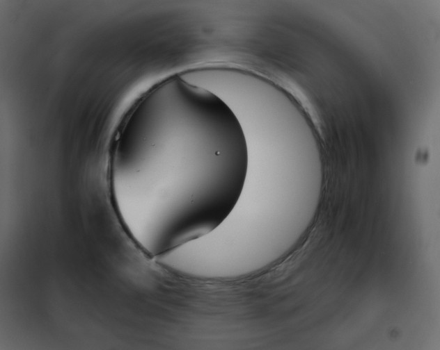 X0000102261472200808081349