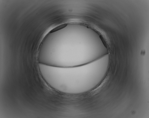 X0000102261473200808081349