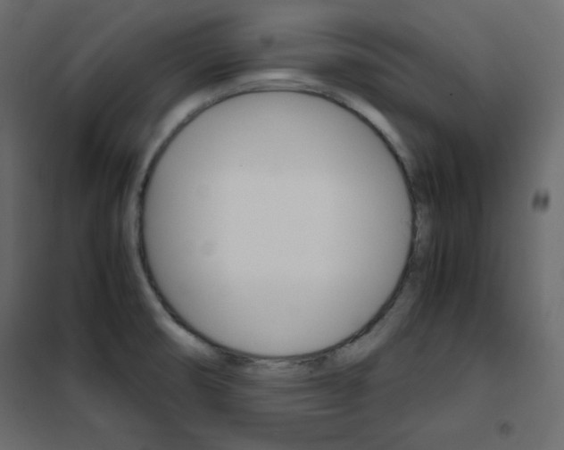 X0000102261474200808081349