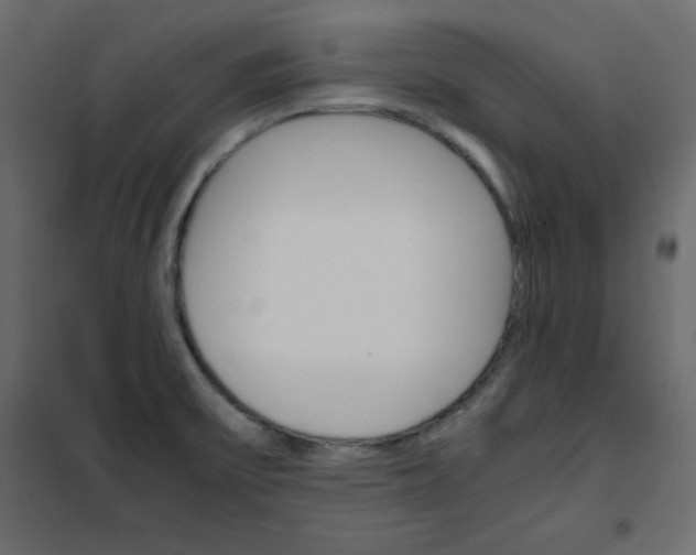 X0000102261475200808081349