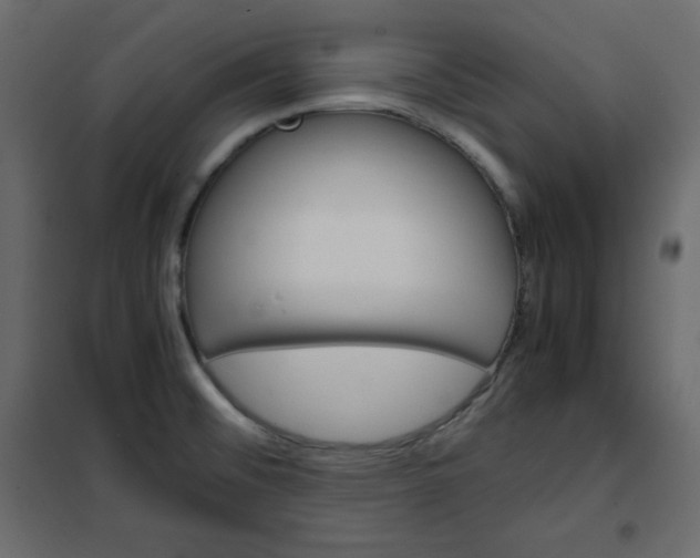 X0000102261476200808081349