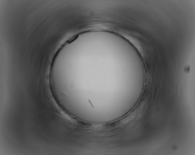 X0000102261477200808081349