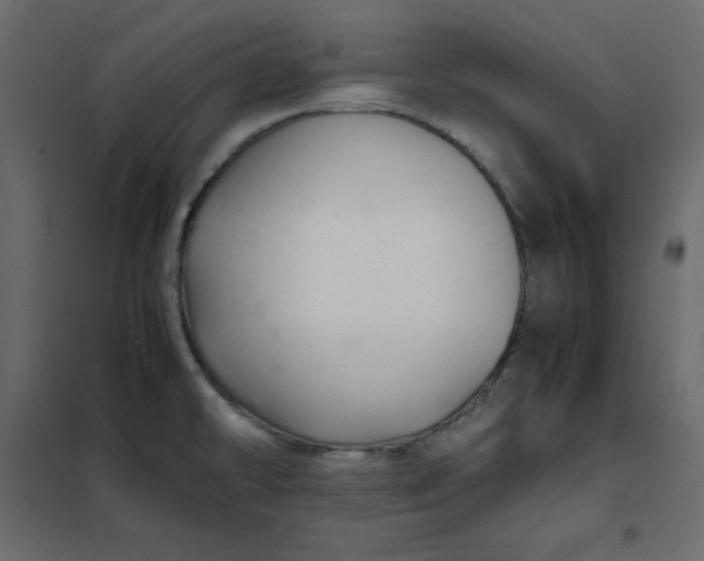 X0000102261478200808081349