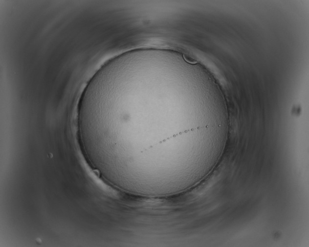 X0000102261479200808081349