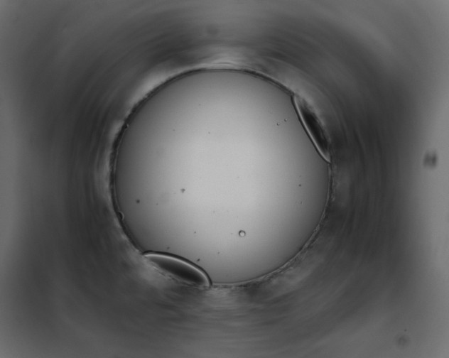 X0000102261480200808081349