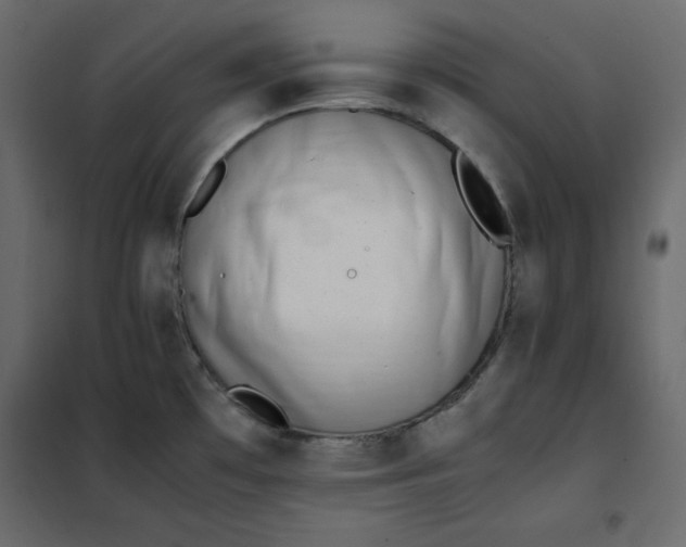 X0000102261481200808081349