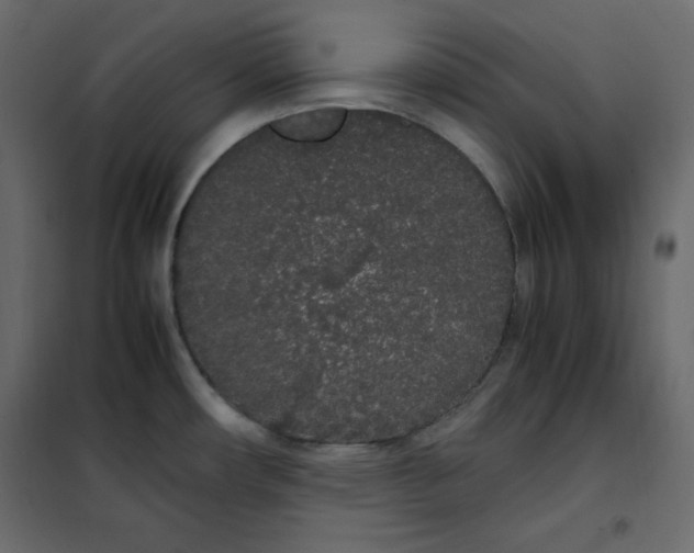 X0000102261482200808081349