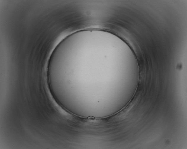 X0000102261483200808081349