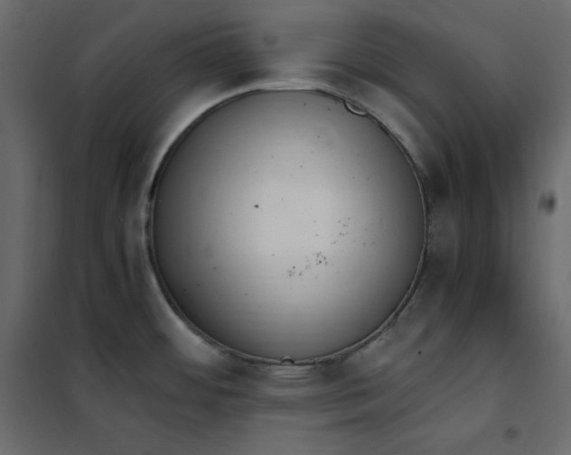 X0000102261484200808081349