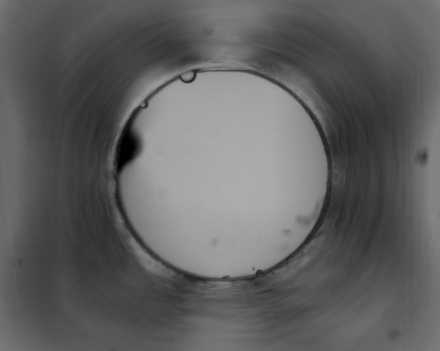 X0000102261485200808081349