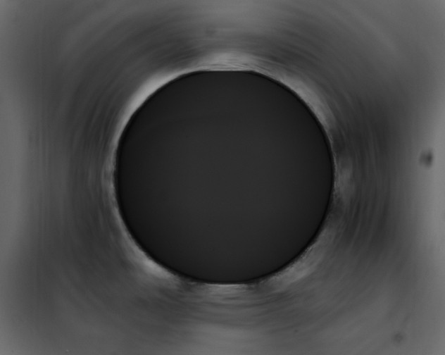 X0000102261486200808081349