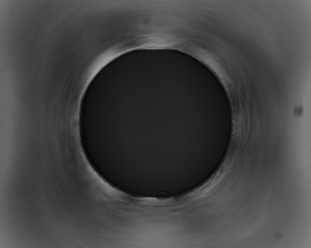 X0000102261487200808081349