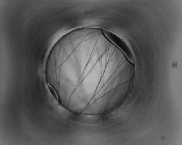 X0000102261488200808081349