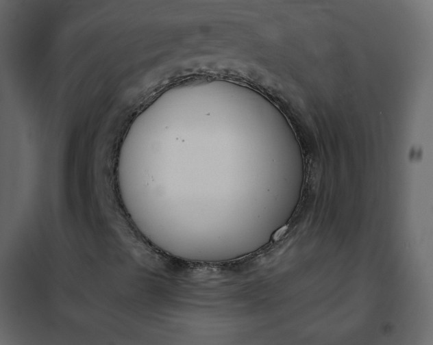 X0000102261489200808081348