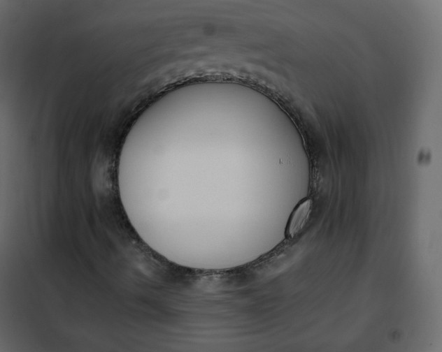 X0000102261490200808081348