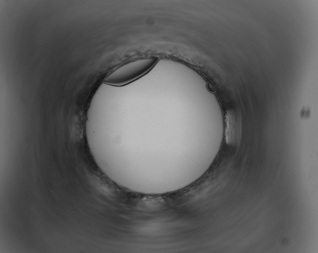 X0000102261491200808081348