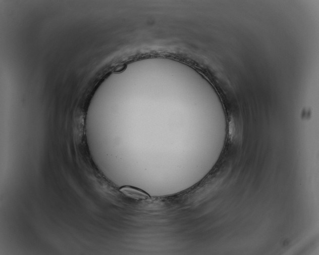 X0000102261492200808081348