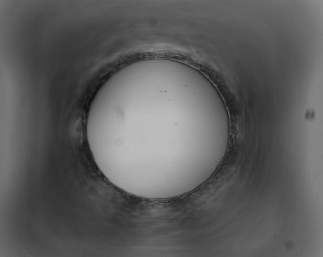 X0000102261493200808081348