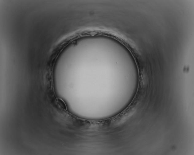 X0000102261494200808081348