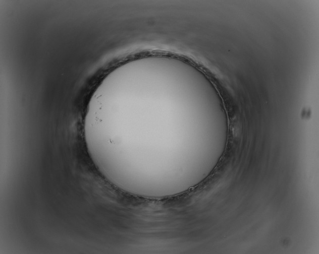 X0000102261495200808081348