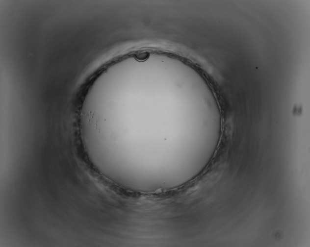 X0000102261496200808081348