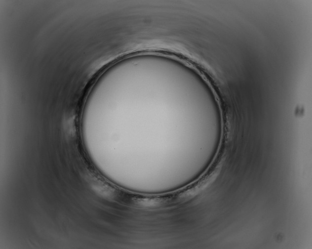 X0000102261497200808081348