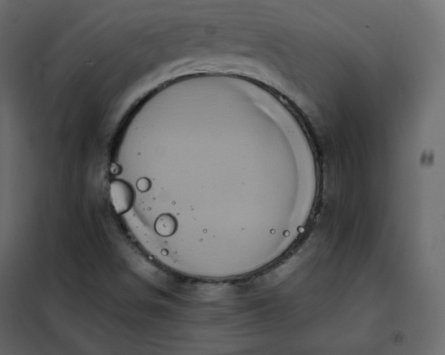 X0000102261498200808081348