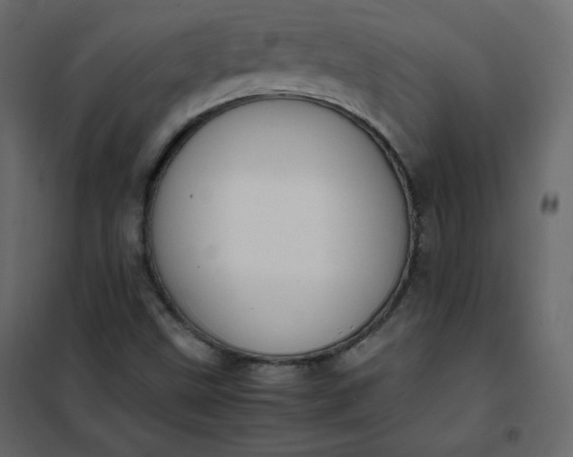 X0000102261499200808081348