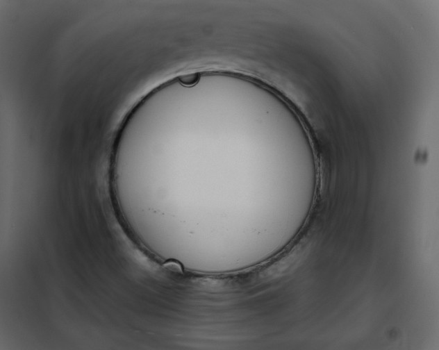 X0000102261500200808081348