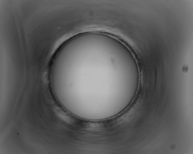 X0000102261501200808081348