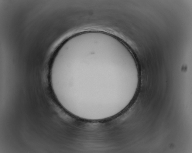 X0000102261502200808081348