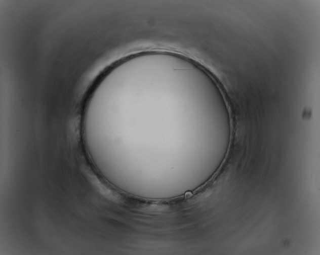 X0000102261503200808081348