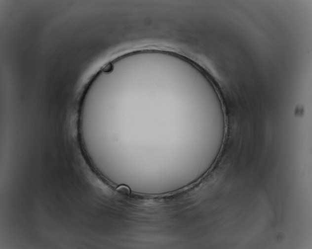 X0000102261504200808081349