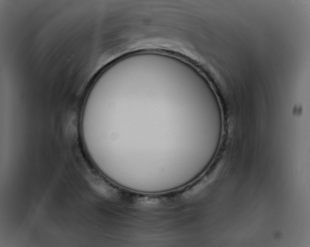 X0000102261505200808081349