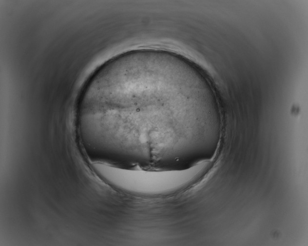 X0000102261506200808081349