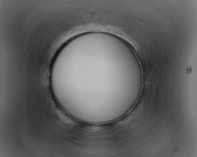 X0000102261507200808081349