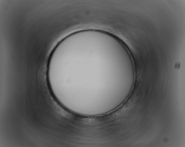 X0000102261508200808081349