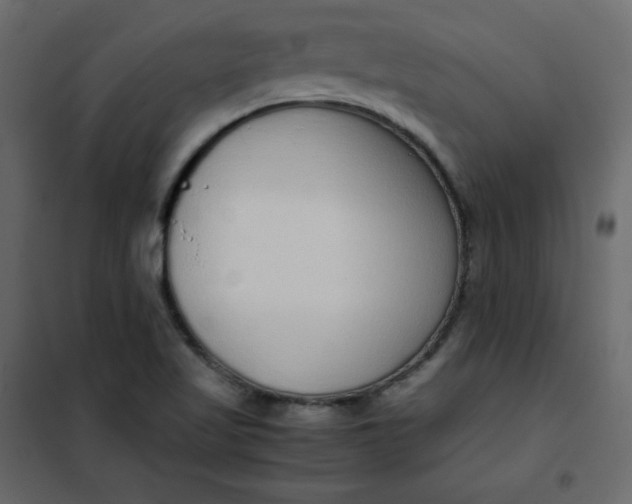 X0000102261509200808081349