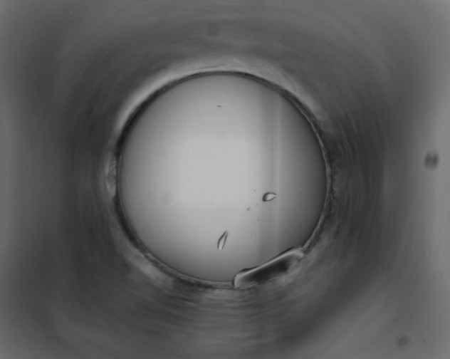 X0000102261510200808081349