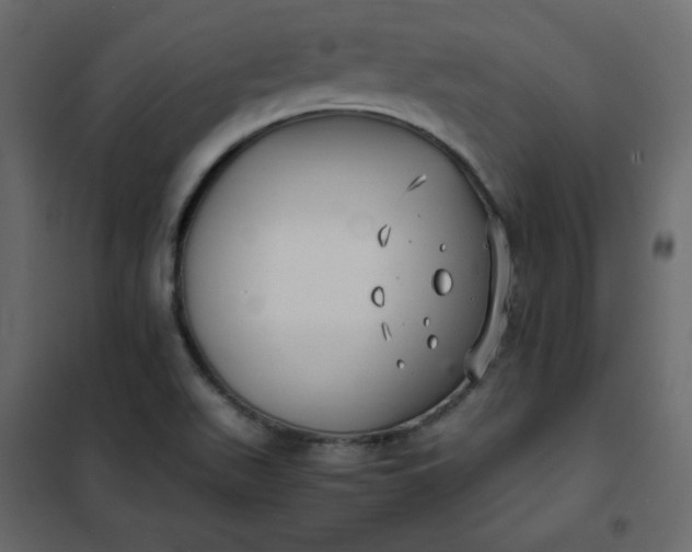 X0000102261511200808081349