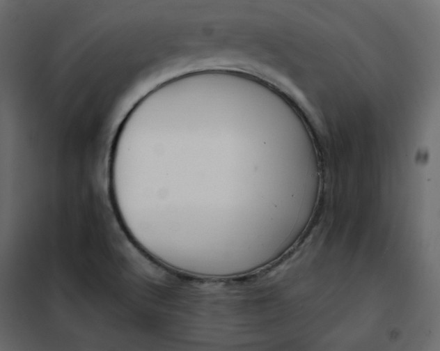 X0000102261512200808081349