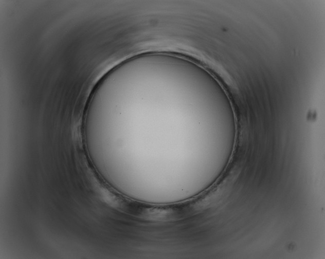 X0000102261513200808081349