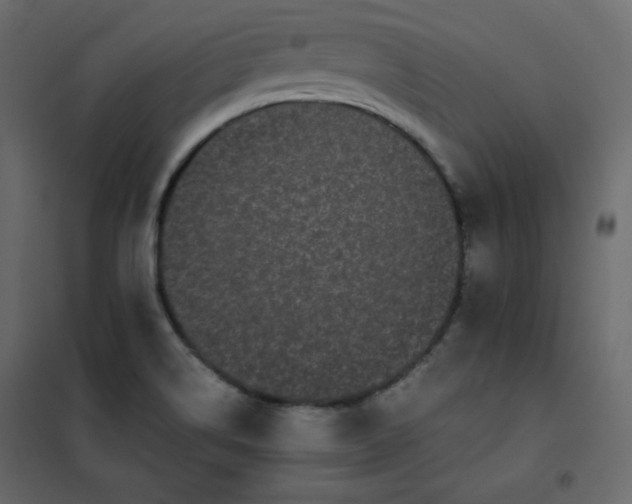 X0000102261514200808081349