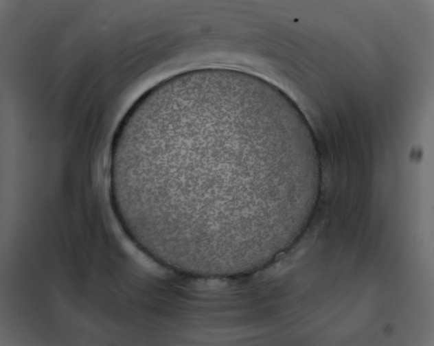 X0000102261515200808081349