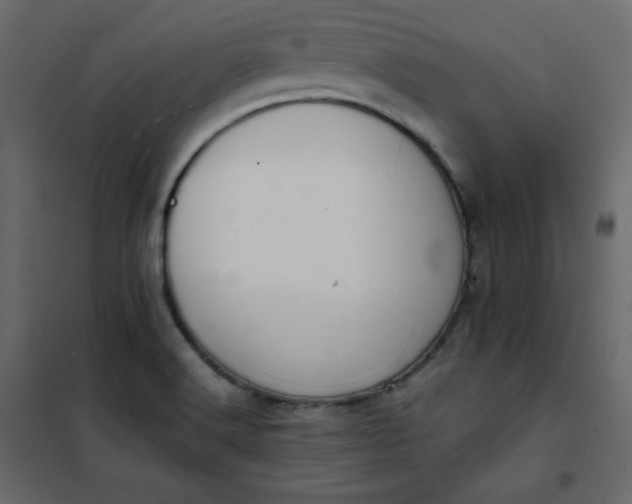 X0000102261516200808081349