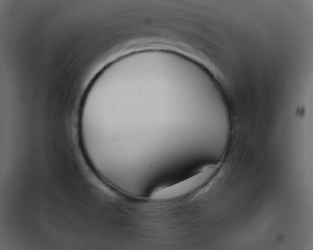 X0000102261518200808081349