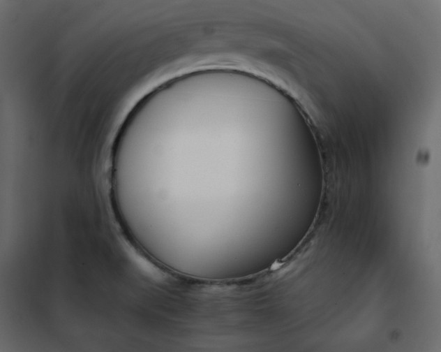 X0000102261519200808081349