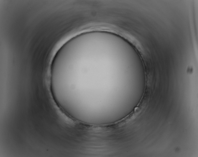 X0000102261520200808081349