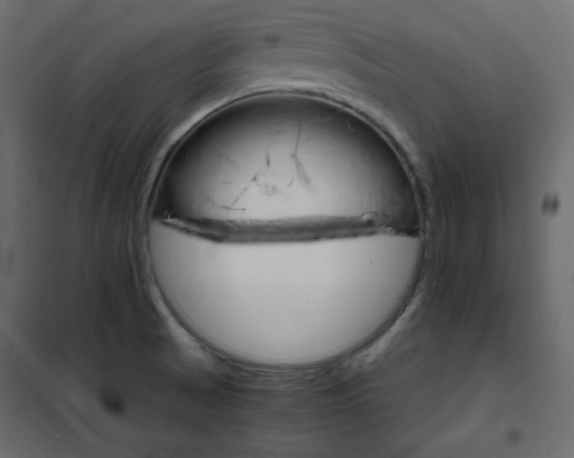 X0000102261521200808081349